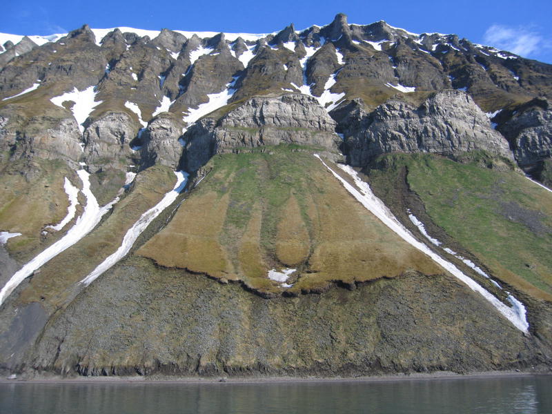Rocks populated with birds in Islfjorden